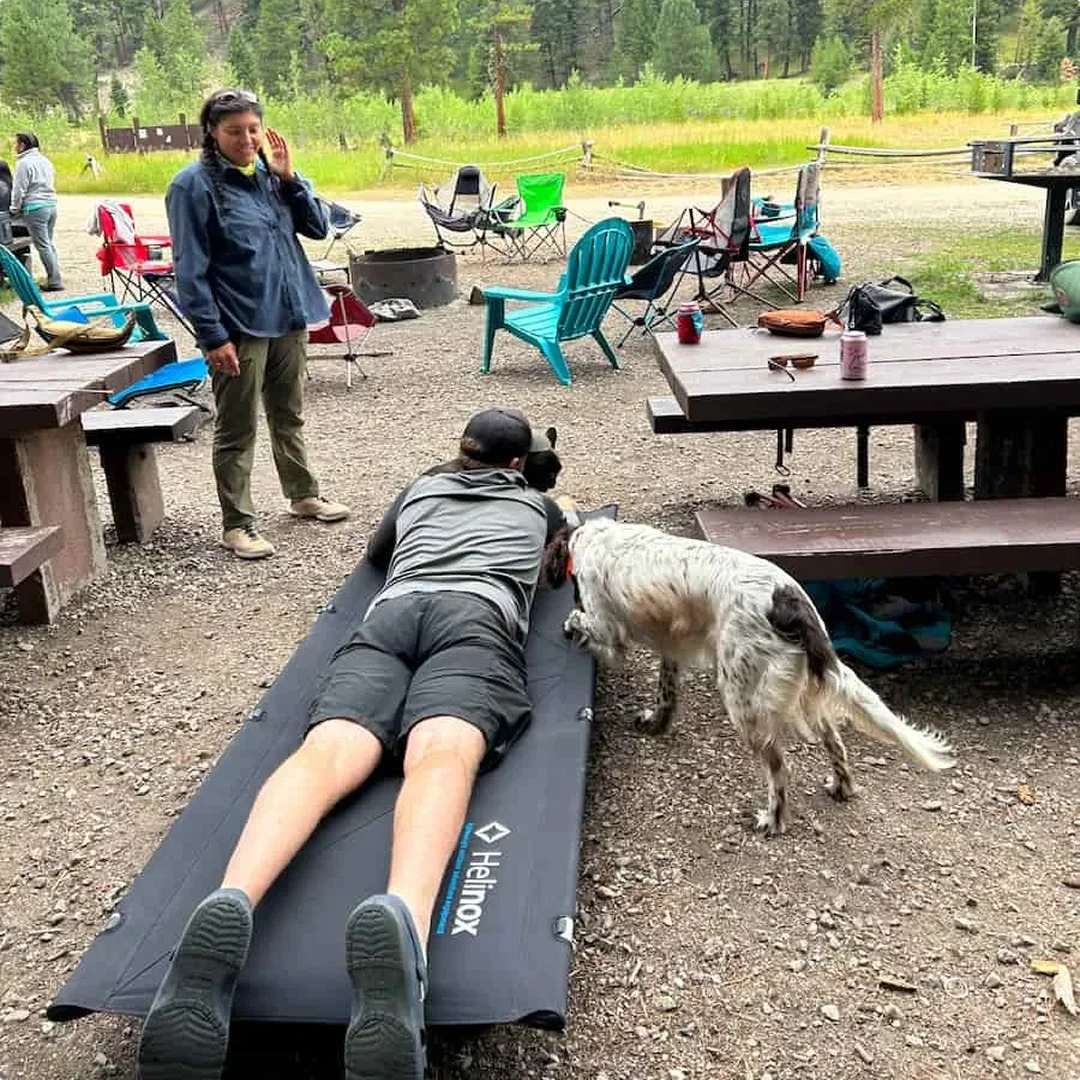 Treeline Review