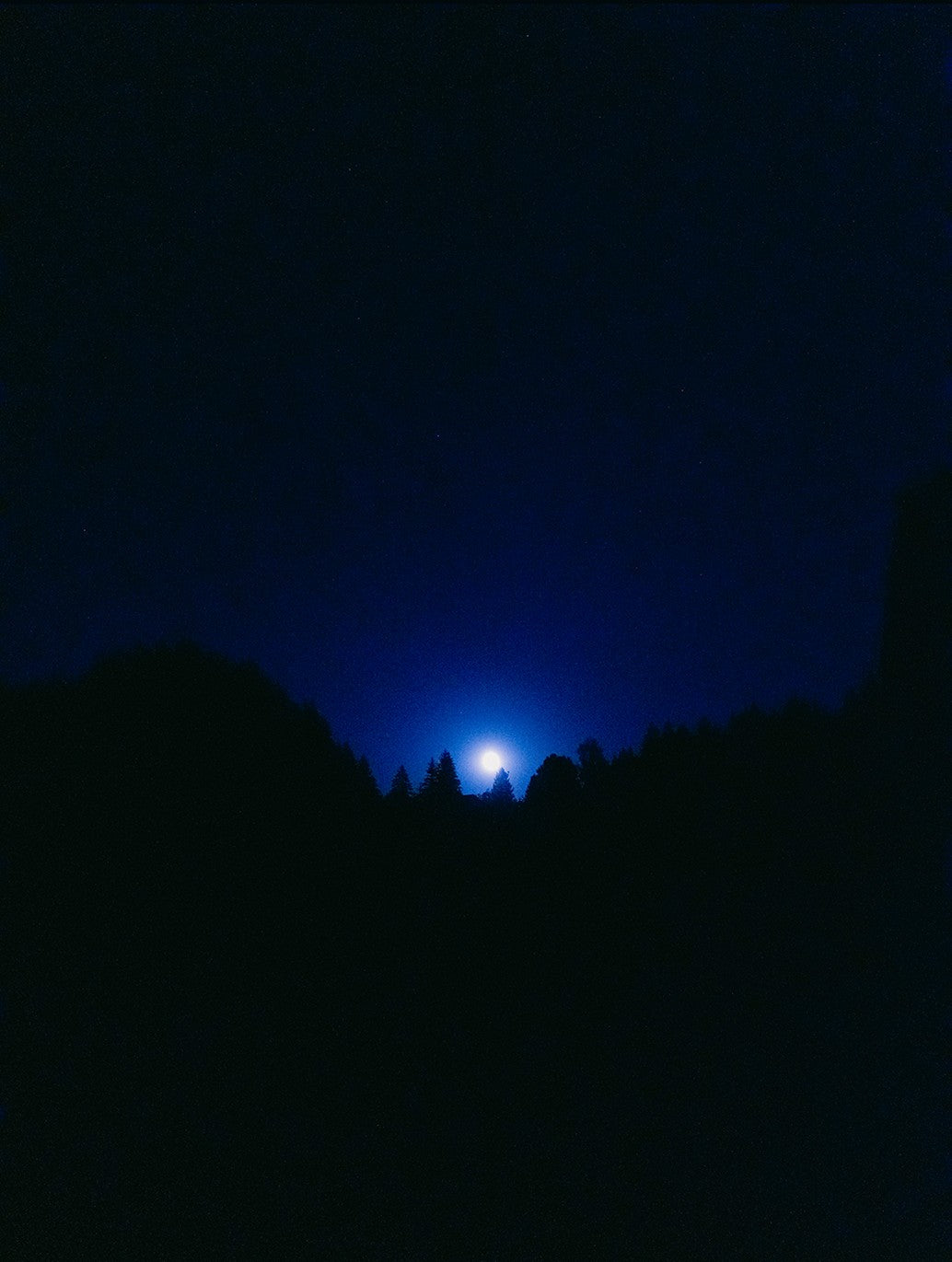 Moon over treeline at night