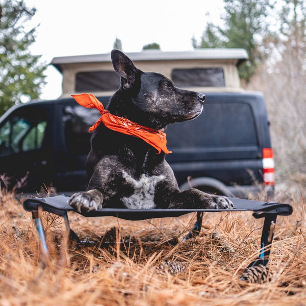 Dog Cot Bundle