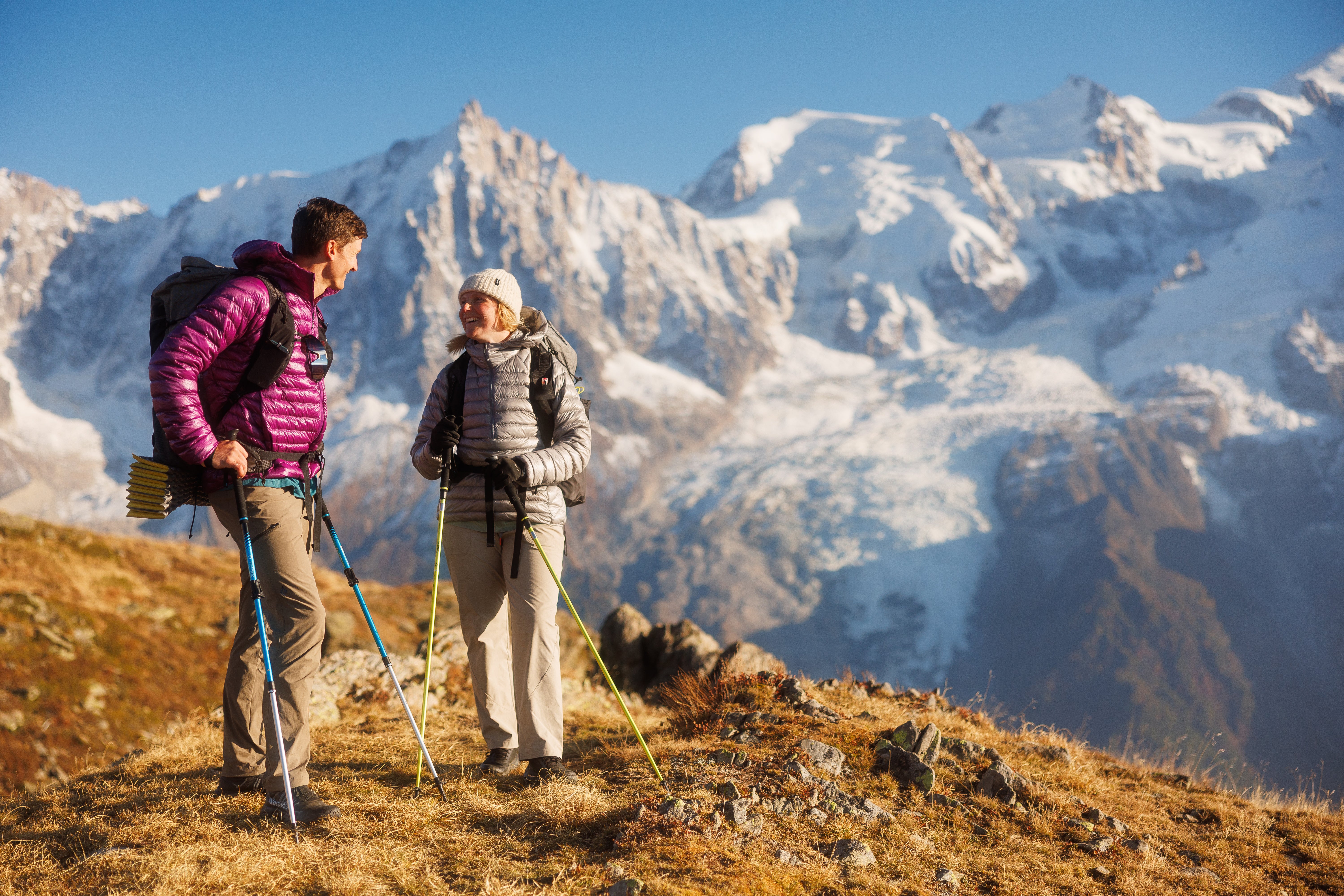 Helinox Passport TL115 Trekking Poles (Pair) | Free Shipping & 5