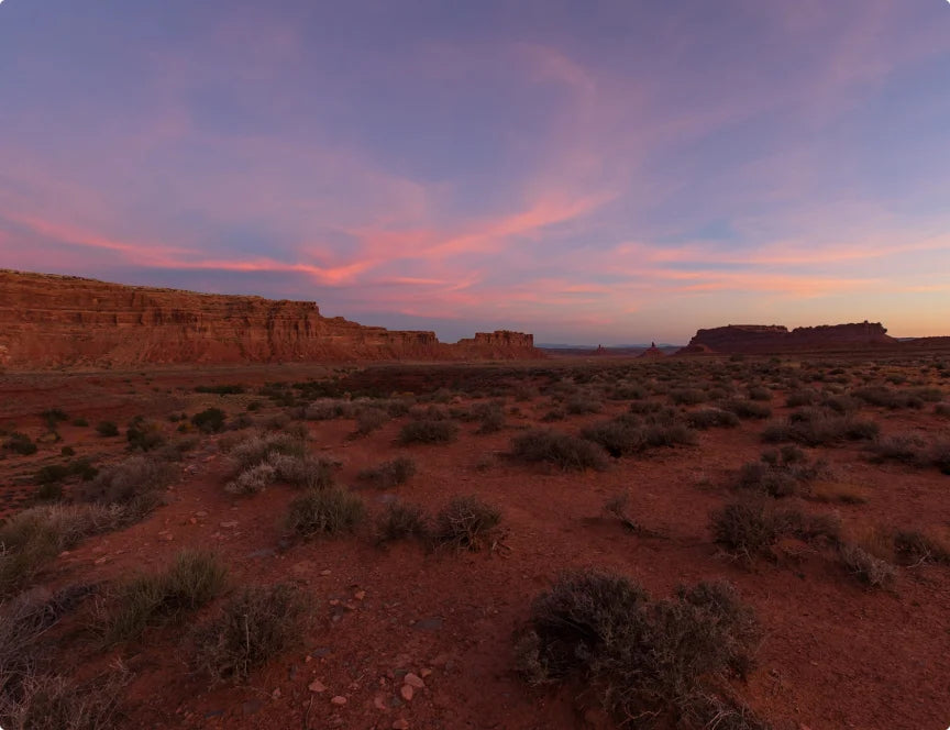 Pink sunset over the desert